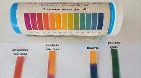 Presentation - Research work “Natural indicators